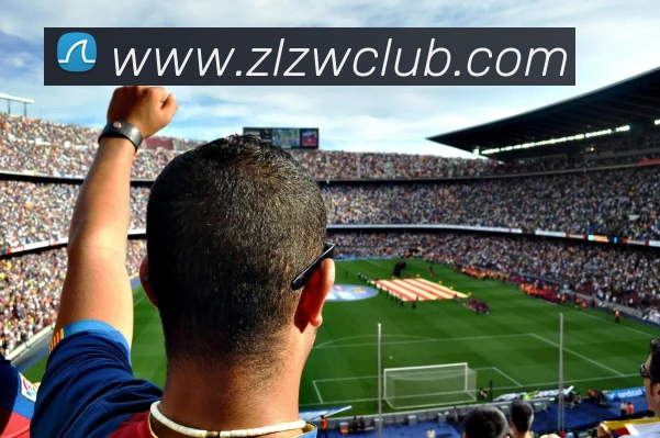 星空平台平台生态图